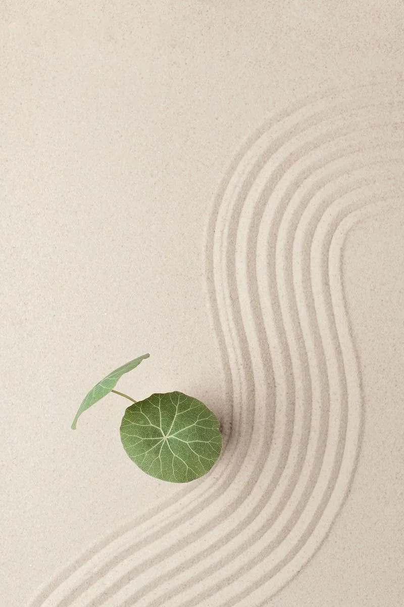 Zen garden with a leaf on raked sand