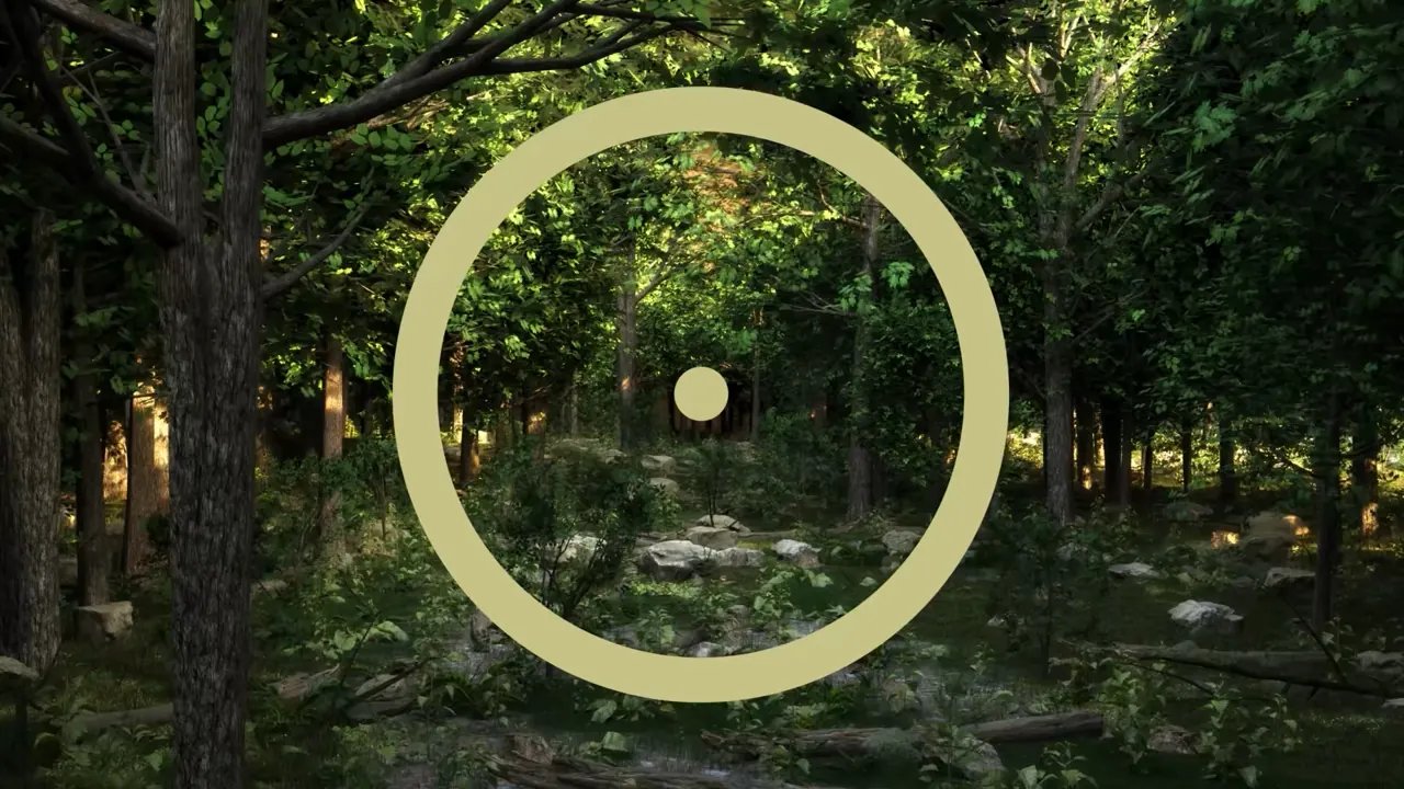 Release stress · The forest